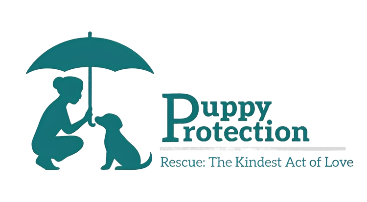 Silhouette of woman with puppy under umbrella.