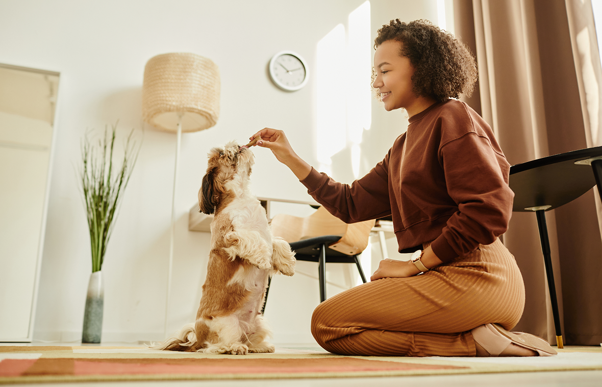 Woman training a dog indoors with treats.