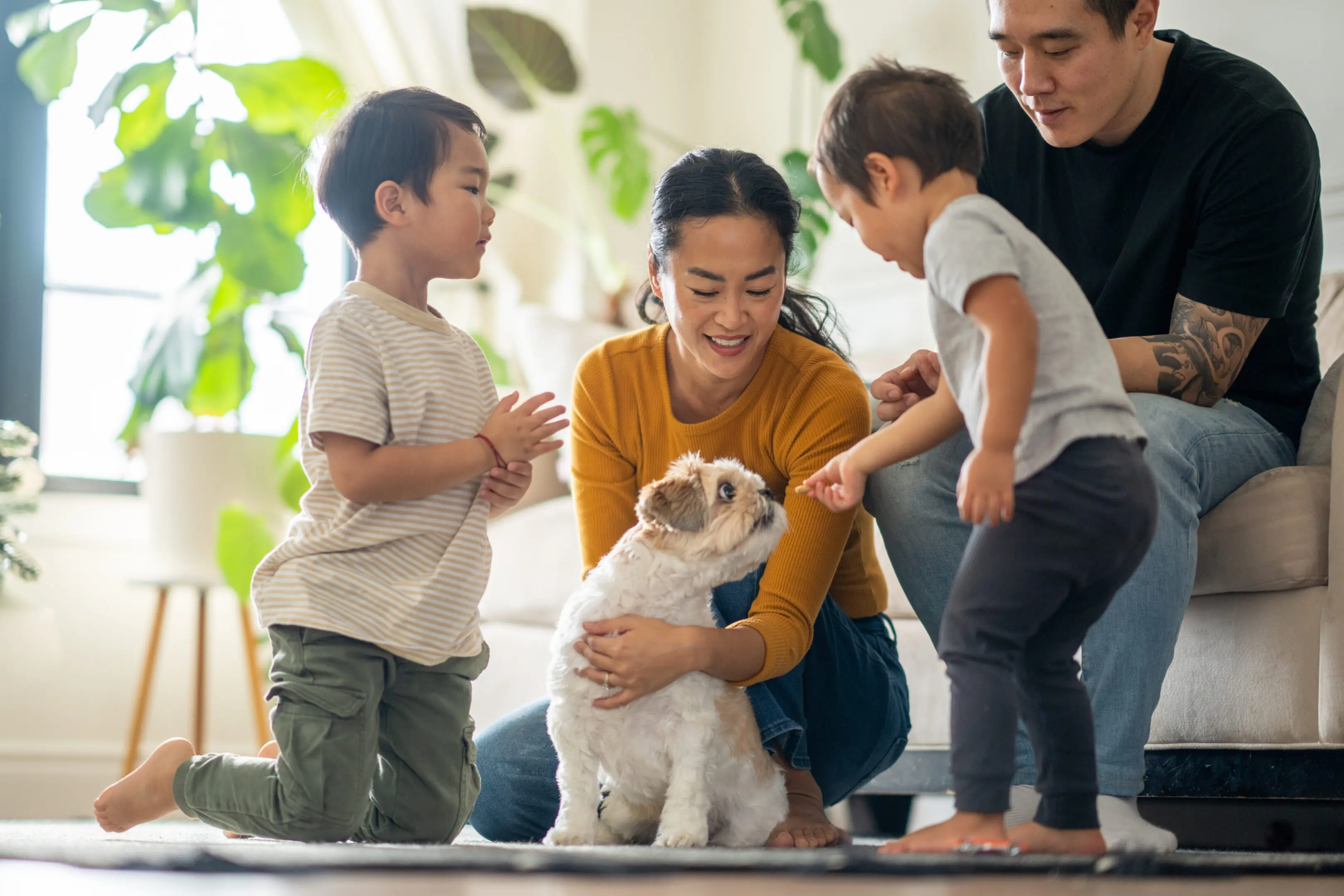 Family playing with dog in living room.