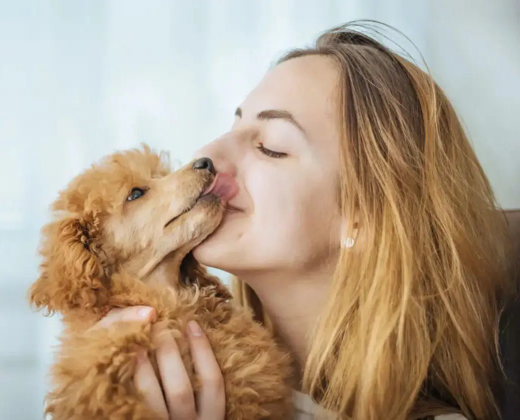 Woman smiling with puppy licking her face.