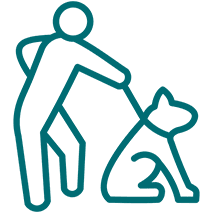 Person walking dog on leash icon