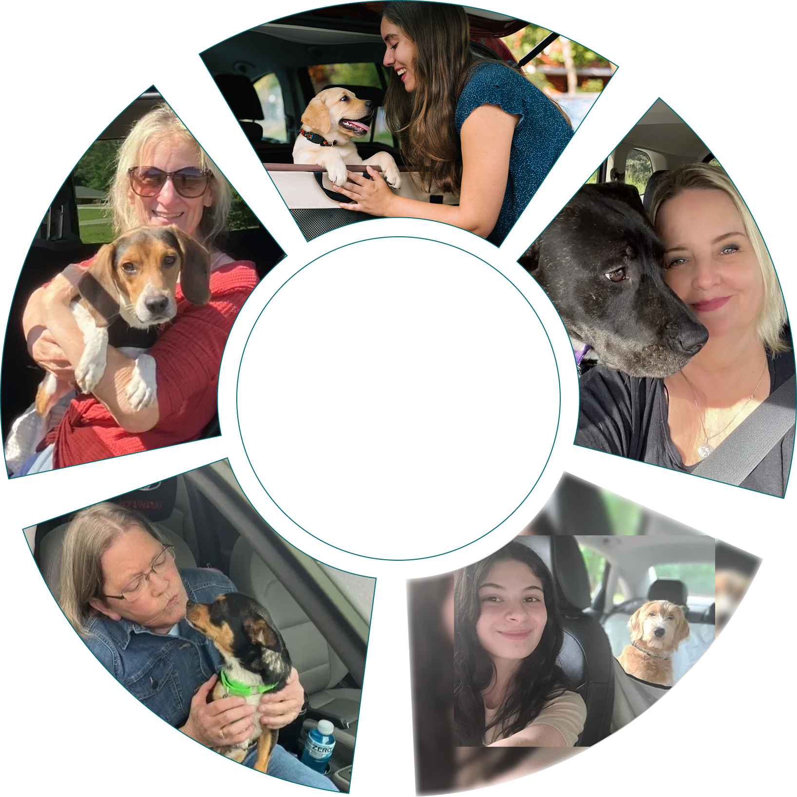 Circular collage of people with dogs in cars