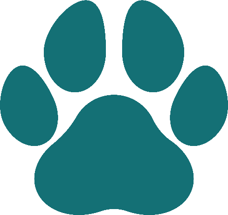 Teal animal paw print on black background