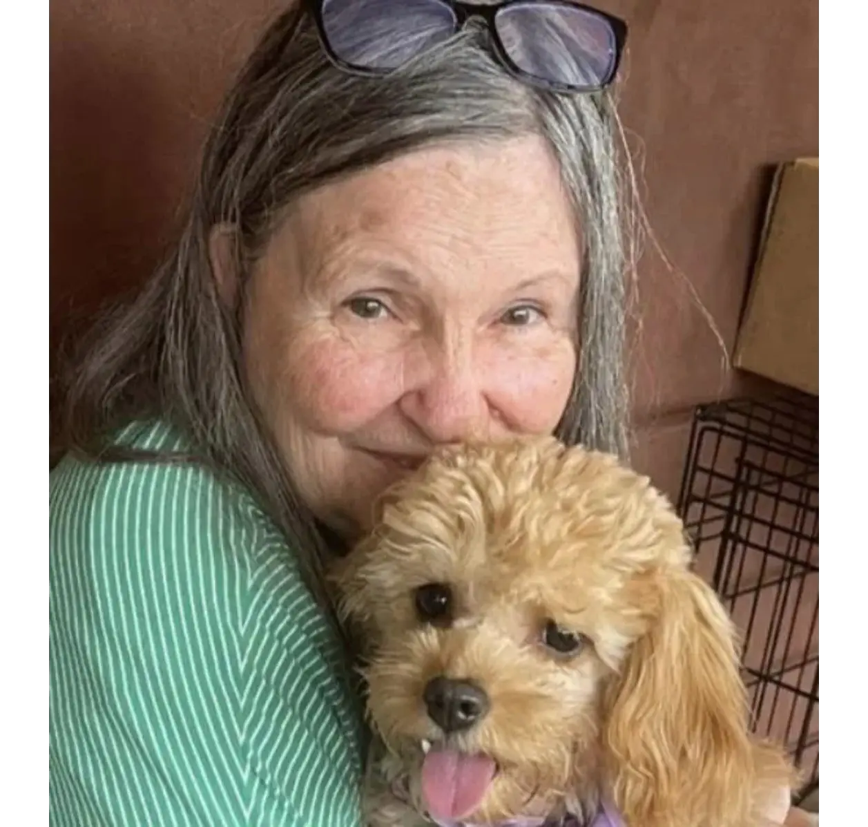 Smiling woman hugging small tan poodle puppy
