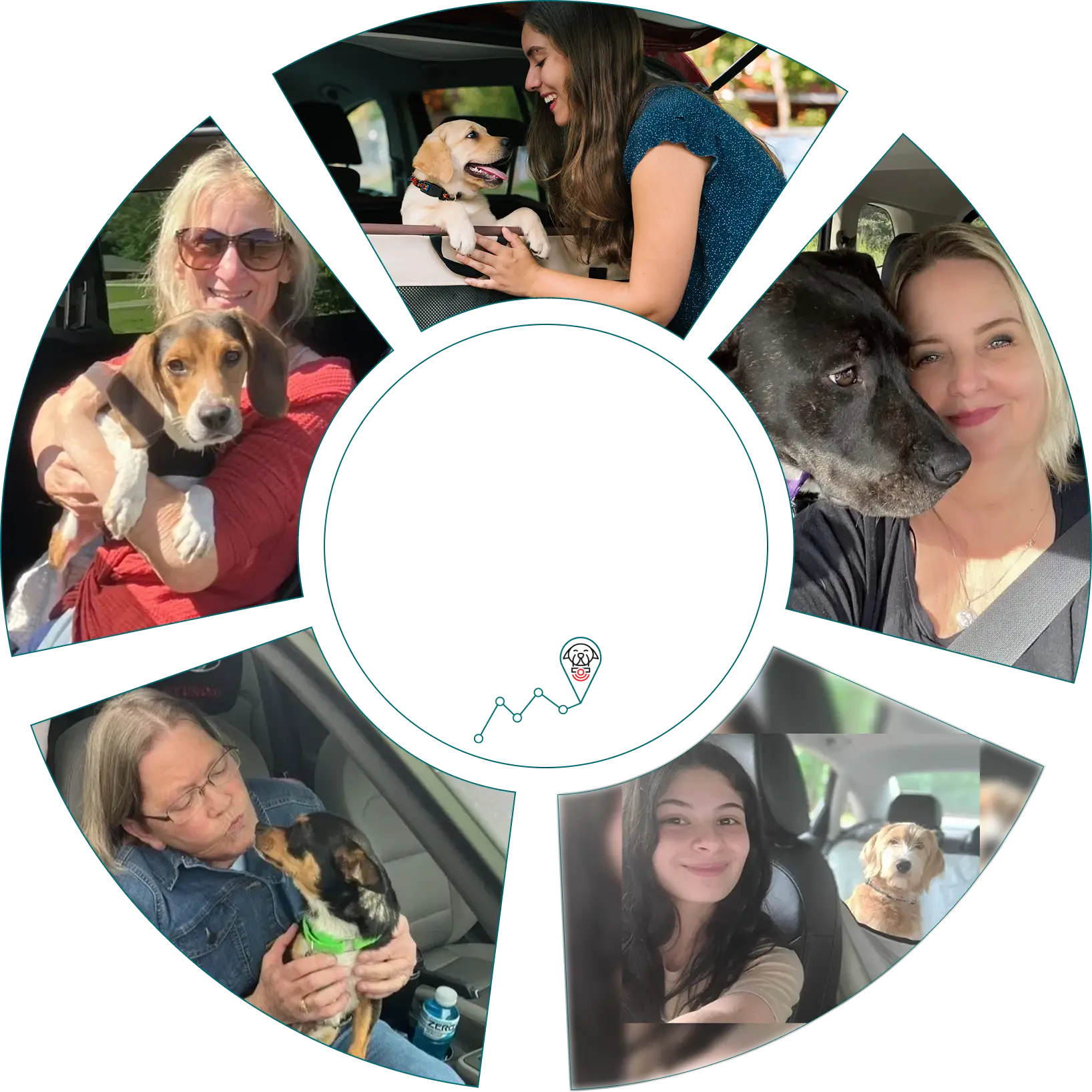 Volunteers transporting rescue dogs in cars