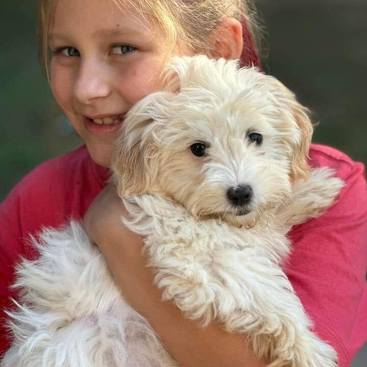 Girl holding a fluffy white puppy.