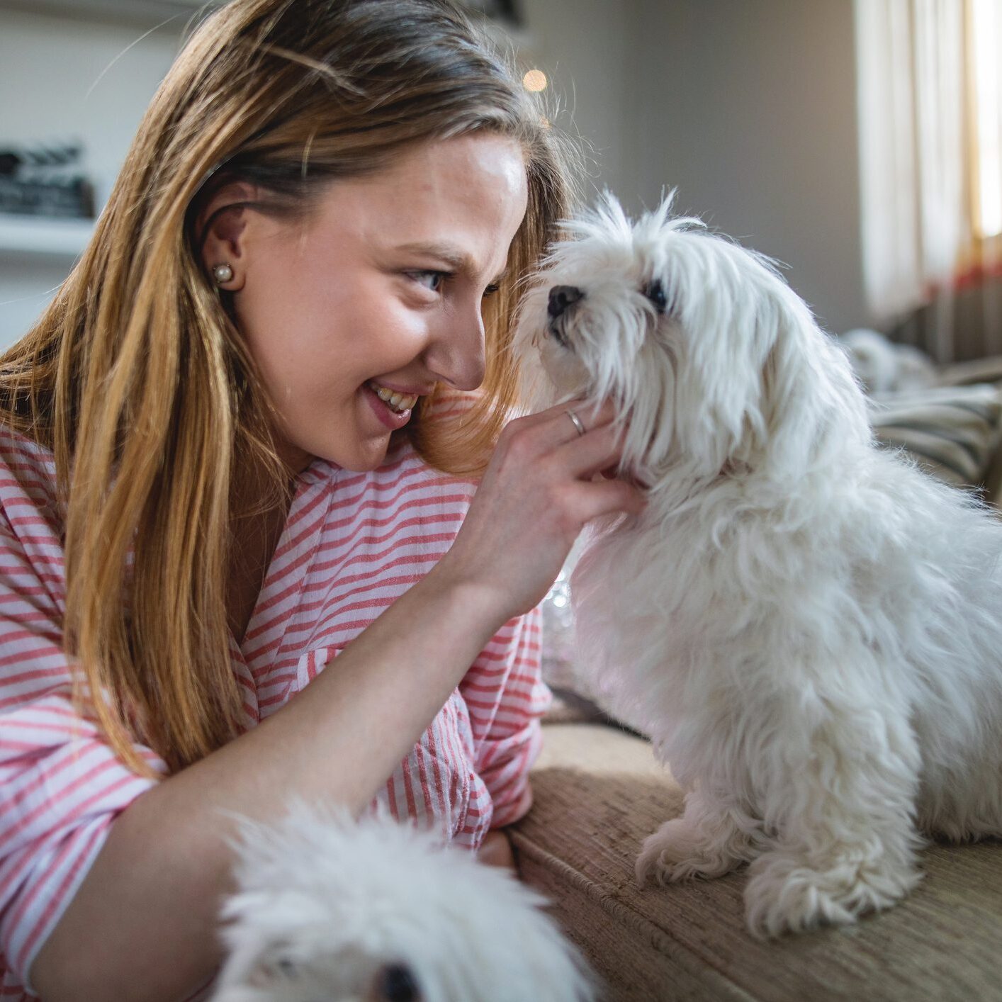 Woman smiling at fluffy white dog indoors.