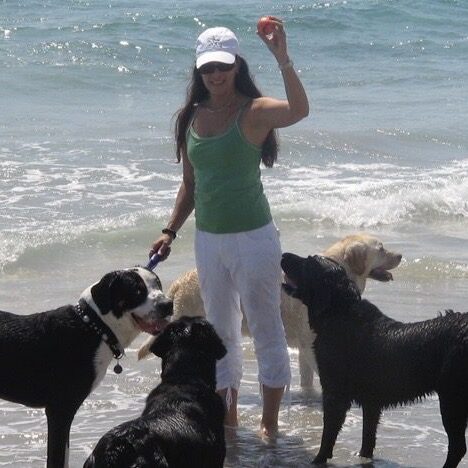 Woman playing with dogs at the beach.